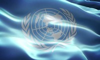 Vietnam raises its status in UN