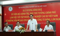 Vietnam Rubber Group urged to scale up