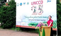 Vietnam strengthens fight against desertification, land degradation