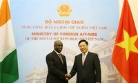 Vietnam values ties with Ivory Coast: Deputy PM