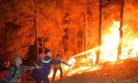  Forest fires ravage central region