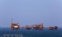 Petroleum law urged to be revised to boost Vietnam’s oil and gas  growth