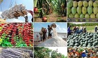 Vietnam diversifies agricultural export market