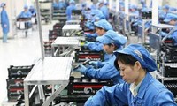 Vietnam workers adapt to international integration