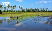 Mekong River Delta moves toward prosperity, sustainability