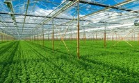 Greening agriculture