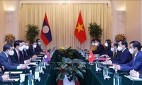 Vietnamese, Lao foreign ministers co-chair 8th political consultation