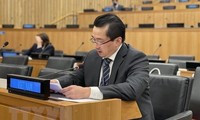 UN Charter - important basis for int’l community’s actions: Vietnamese Ambassador