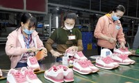 Vietnam’s footwear market share rises to over 10 percent in 2020: report