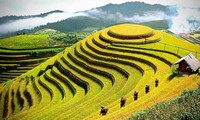 Domestic tourism dominates Vietnam’s tourism trend in 2023