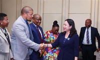 Vice President meets with South African businesses
