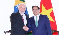 Vietnam, Brazil aim to raise bilateral trade to 15 billion USD by 2030