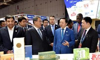 Vietnam attends 2023 China International Import Expo