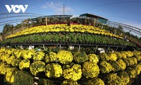 Sa Dec village ready for first-ever ornamental flower festival