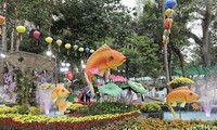 Spring flower festival opens in HCM City