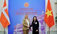 Vietnam, Denmark hold 2nd political consultation