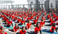 Summer Yoga Festival 2024 to attract nearly 1,500 practitioners