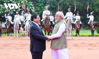 Vietnam, India pledge stronger comprehensive strategic partnership