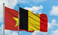 Tăng cường quan hệ hợp tác nhóm nghị sĩ hữu nghị Việt Nam và Bỉ