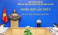 Việt Nam nỗ lực thực hiện ngay những cam kết tại COP 26