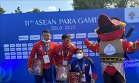 Việt Nam giành thêm 5 huy chương vàng ở môn bơi
