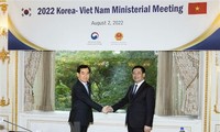 Việt Nam và Hàn Quốc nhất trí thúc đẩy hợp tác thương mại cùng có lợi và cân bằng kim ngạch song phương