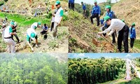 Hội thảo quốc tế chia sẻ kinh nghiệm giữa các tổ chức sản xuất rừng và trang trại