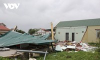 57 người bị thương do bão Noru
