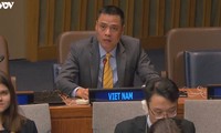 Việt Nam kêu gọi tăng cường nỗ lực quốc tế giải trừ quân bị 