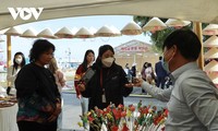 Đặc sắc lễ hội Du lịch, Văn hoá Việt Nam tại Hàn Quốc