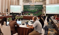 Xây dựng thị trường carbon rừng ở Việt Nam