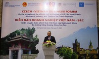Diễn đàn doanh nghiệp Việt Nam - Séc