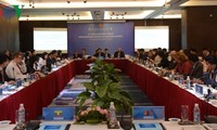 东盟地区论坛第11次海上安全会间会举行