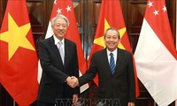 促进越南-新加坡战略伙伴关系