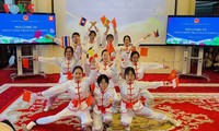 越南驻中国大使馆举行东盟各国妇女交流会