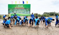 红树林种植和沿海滩涂保护运动启动仪式在金瓯省举行