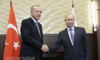 土耳其和俄罗斯领导人就叙利亚局势通电话
