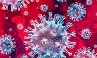 中国境外新型冠状病毒肺炎确诊病例情况