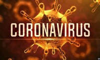 2019新型冠状病毒对全球经济的挑战