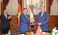 促进越南-埃及两国首都全面合作