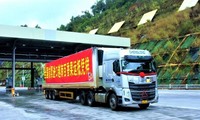 越南首批百香果正式对华出口