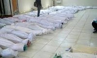 Vietnam condemns the Houla massacre in Syria