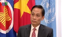 Ambassador Le Hoai Trung: Vietnam shares mankind desire for peace