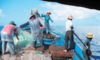 Fishing activities resumed at sea in Truong Sa