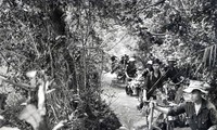 Ho Chi Minh trail - a supply line to the battlefield