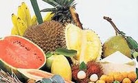 Bright prospects for Vietnamese fruits exports in 2015