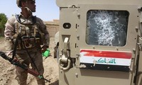 Dozens of IS militants killed in Iraq, Syria