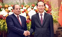 Egypt pledges optimal conditions for Vietnamese products   