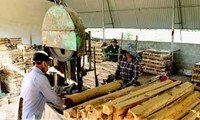 Vietnam targets 10.5 billion USD in forestry product export in 2019