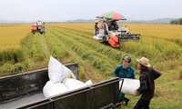 Vietnam rakes in 34 billion USD from agricultural, seafood products